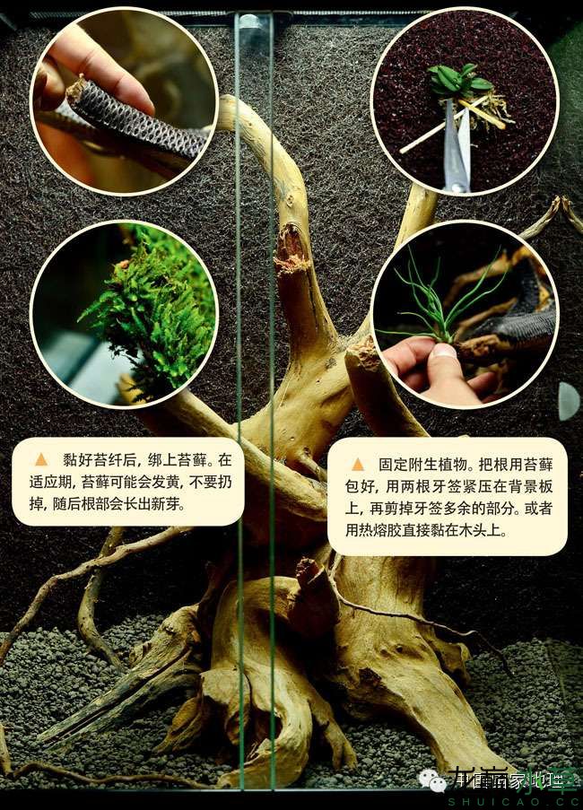 图片7.jpg